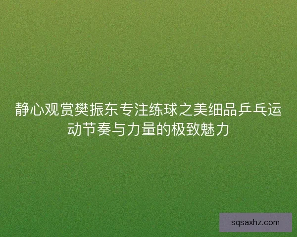 静心观赏樊振东专注练球之美细品乒乓运动节奏与力量的极致魅力