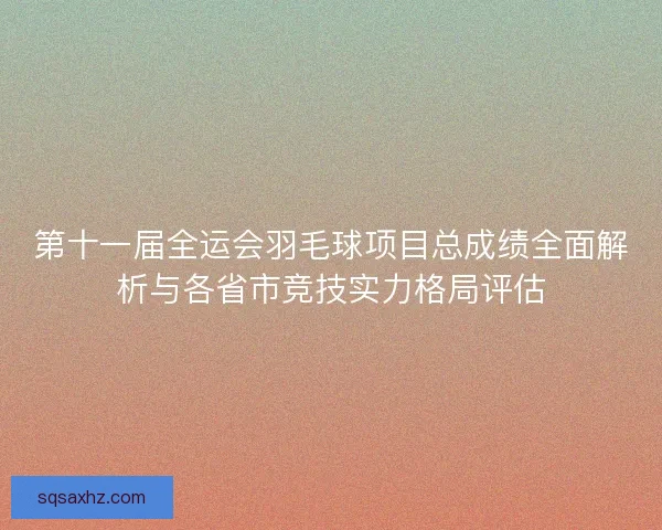 第十一届全运会羽毛球项目总成绩全面解析与各省市竞技实力格局评估